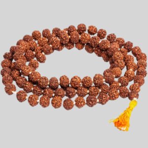 Rudraksha Malai  (ருத்ராட்ச மாலை)