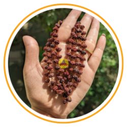 Rudraksha poo malai