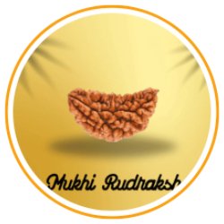 Mukhi Rudraksha